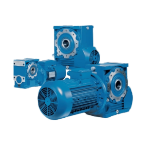 Worm Gear Reducer