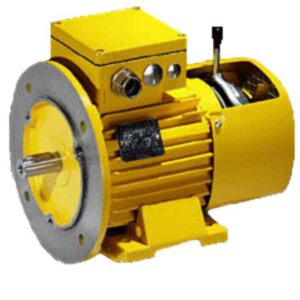 Electric Motor With Brake